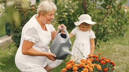 Украсьте сад цветами, что лечат и защищают — как сеять бархатцы в июне - 285x160