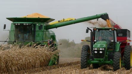 Ціни на зерно в Україні — скільки коштує кукурудза у грудні - 285x160