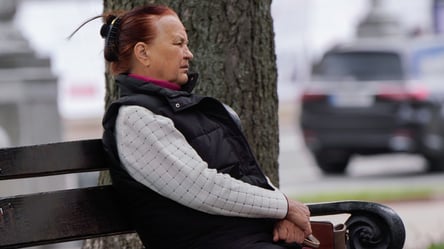 Українці зможуть створювати власні родові герби — що треба знати - 285x160