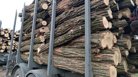 Дрова для отопления — где купить официально и какая цена 1 м³ - 285x160