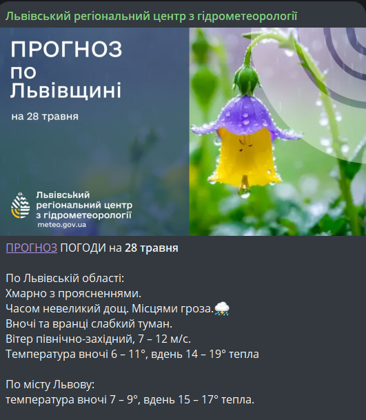 Погода у Львові 28 травня