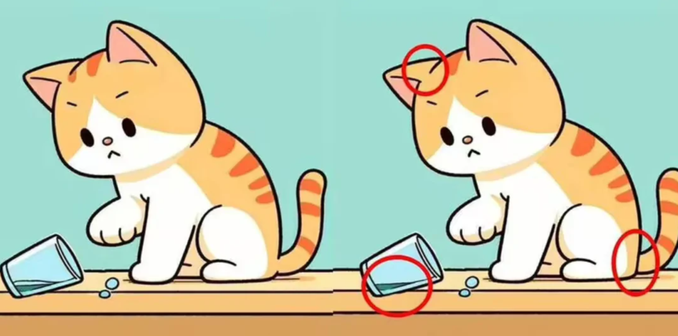 Правильный ответ на оптическую головоломку