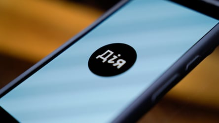 Житловий ваучер у Дії — через які проблеми зривається оформлення - 290x166