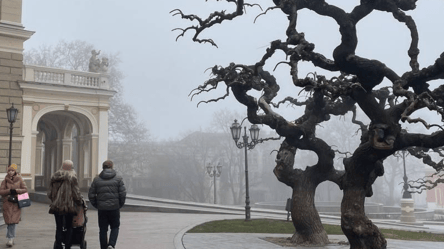 В Одесі буде вітряно та туманно — погода на сьогодні - 285x160