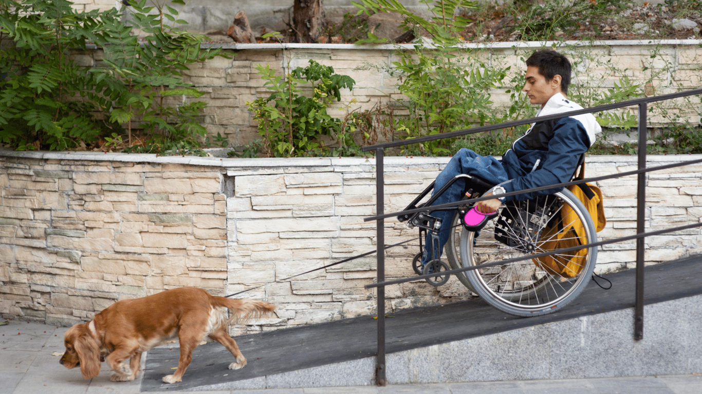 Довідка про інвалідність під час воєнного стану: спрощена процедура отримання