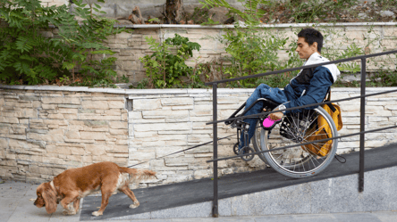 Довідка про інвалідність під час воєнного стану: спрощена процедура отримання - 285x160