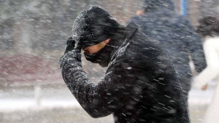 Метели и штормовой ветер — какая погода будет в Украине сегодня - 290x166