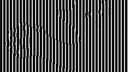 Оптична ілюзія — знайдіть за гіпнотичними смугами тварину за 5 секунд - 285x160