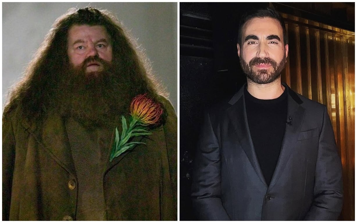  Бретт Ґолдштейн може зіграти Геррыда - фото