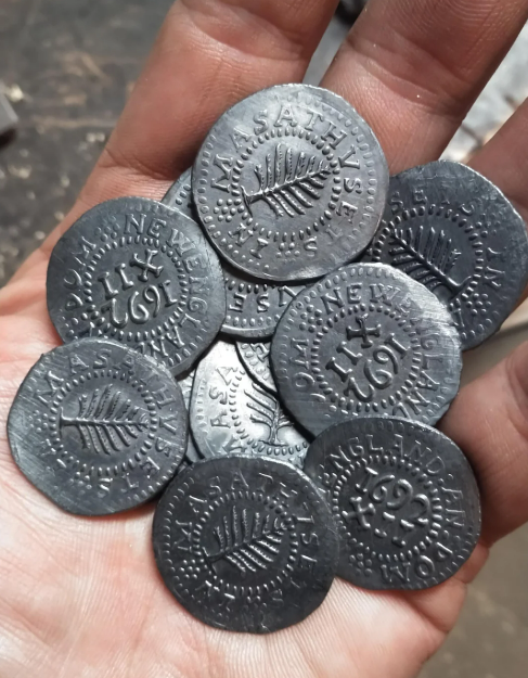 Соснові шилінги