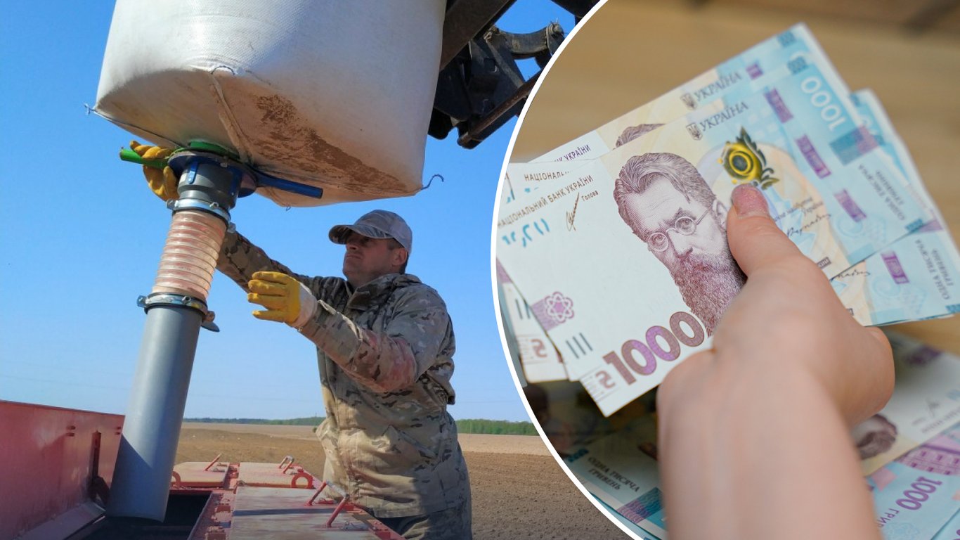 Соя стремительно дорожает в последние дни апреля: что происходит на украинском агрорынке