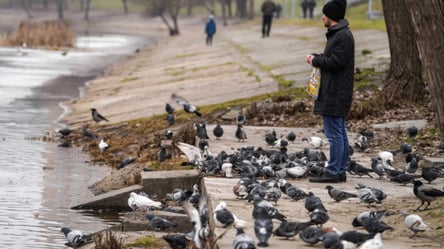 До +11 °C — какая погода будет в Украине на следующей неделе - 285x160