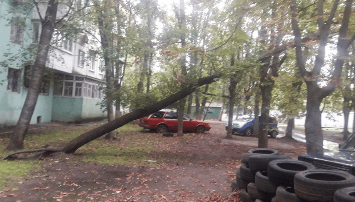 Проїзд у деяких місцях ускладнено — в Одесі повалило дюжину дерев - фото 2