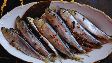 Салака пряного посолу — економний рецепт 60 грн за 1 кг - 285x160