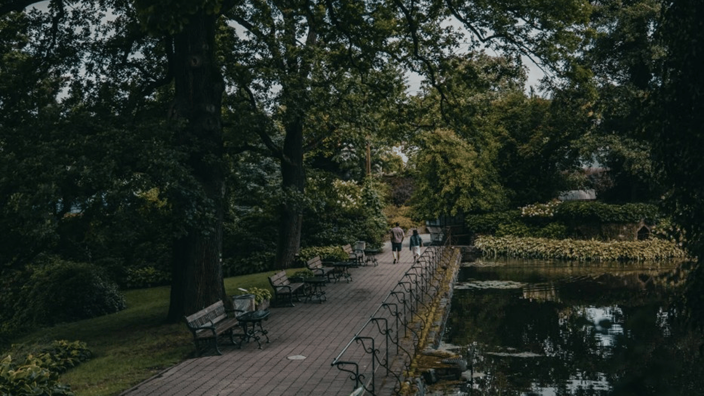 Войславицький дендропарк