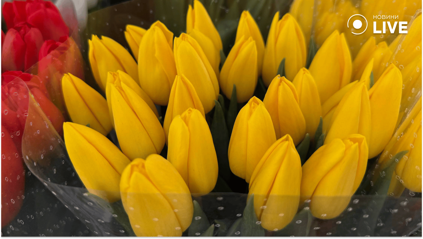 Скільки коштують квіти в Одесі — ціни у студіях та на базарі - фото 6