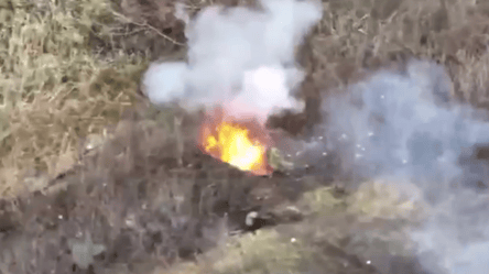 Украинские бойцы уничтожили технику россиян с помощью дрона - 285x160