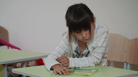 Угроза румынским школам Одесчины — люди написали президентам - 285x160