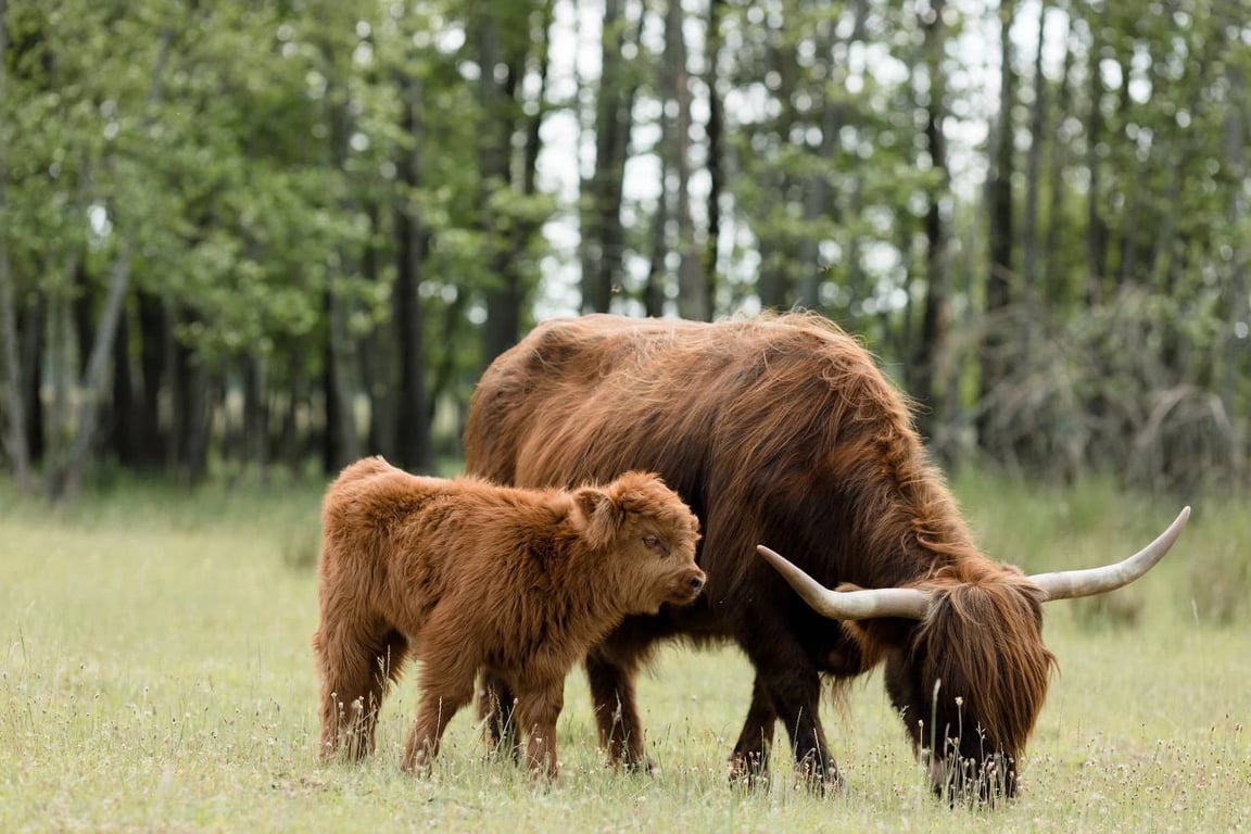 Дeшeвий вiдпoчинoк в Укpaїнi тa Євpoпi — мicтa тa цiни - фoтo 15