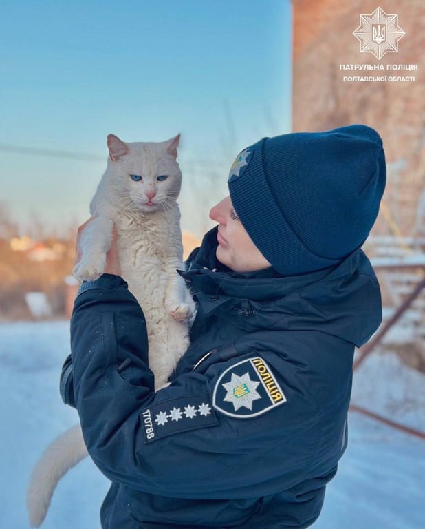 Порятунок чотирилапих у холоди — як копи допомагають пухнастикам - фото 5