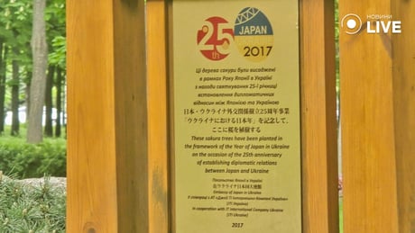 Цвітіння сакури у Харкові
