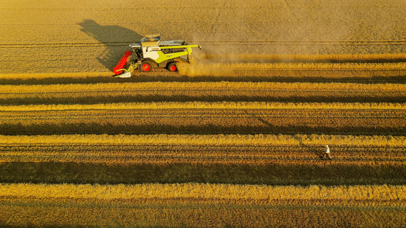 Скільки коштує зерно в Україні — актуальні ціни на 13 червня 2024 року