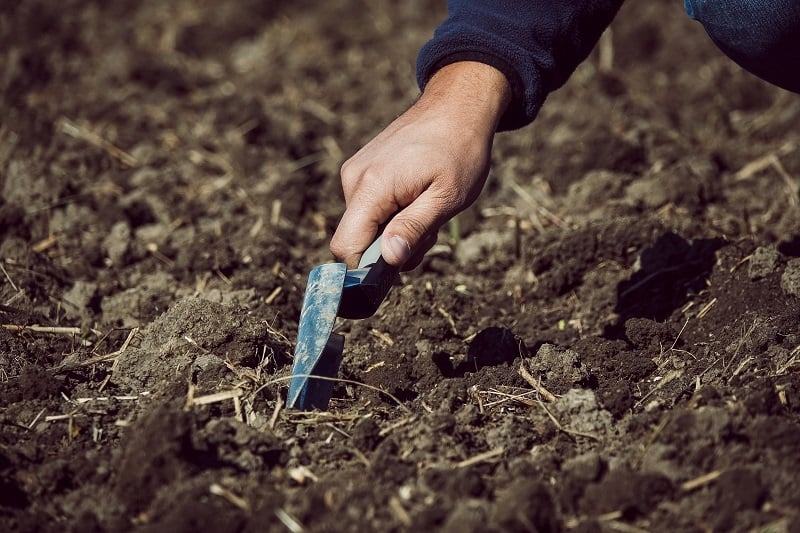 Огородние работы