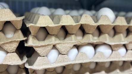 Яйца потеряли статус бюджетных — что происходит с ценами в феврале - 285x160