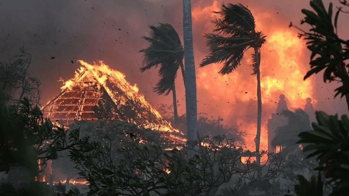На Гаваях вирують лісові пожежі: сотні людей зникли безвісти