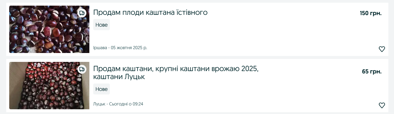 Деньги на каштанах — по чем принимают килограмм плодов в 2025 - фото 2