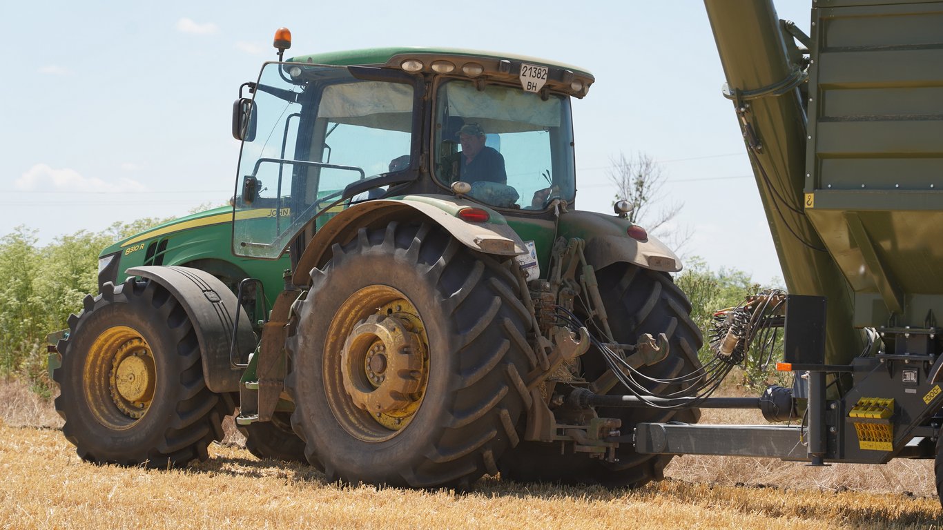 В Украине значительно выросли цены на пшеницу — сколько стоит тонна зерна в июле - 250x140