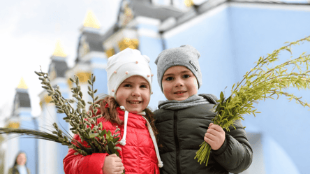 Не только котики: какую вербу святят в Украине в Вербное воскресенье - 285x160