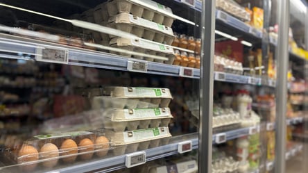 Українці можуть заощадити кошти на курячих яйцях: де найдешевша упаковка - 290x160