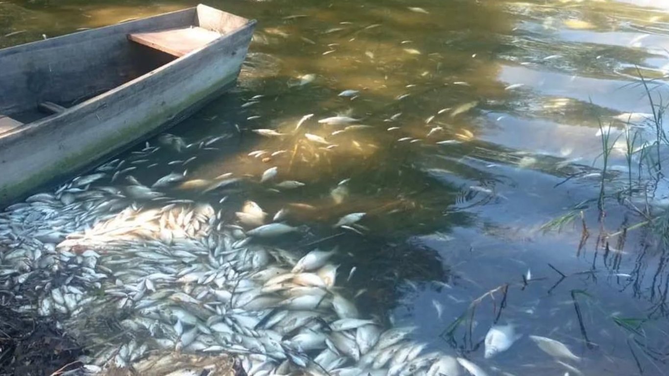 У річці Сейм вода стала чорною — місцеві скаржаться на головні болі