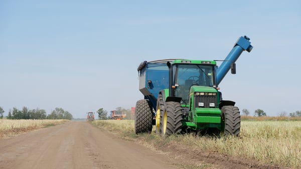 Ціни на зернові в Україні станом на 17 січня 2025 року