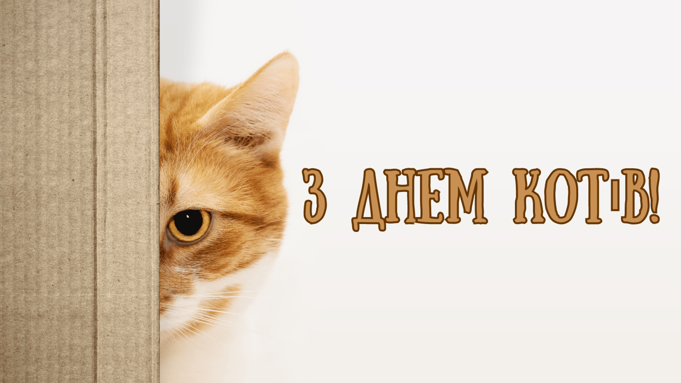 Всемирный день кошек отмечается ежегодно 8 августа: открытки.