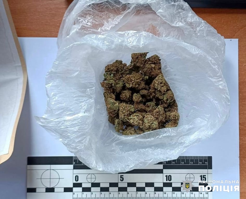 Хоронил каннабис в велосипеде — в Одесской области гражданин Молдовы хотел пересечь границу с наркотиками - фото 2