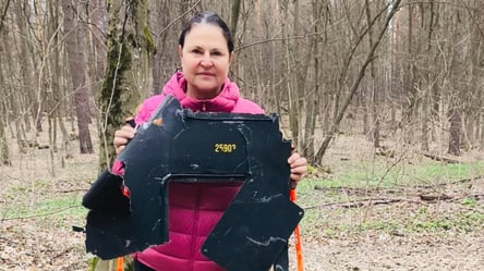 Посол ЕС нашла обломок "Шахеда" во время прогулки по лесу в Киеве - 285x160