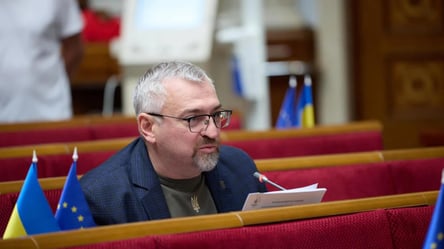 Військовозобов'язані не на обліку: нардеп назвав кількість - 290x160