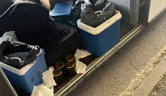 Водій намагався провезти 8 кг чорної ікри в Молдову