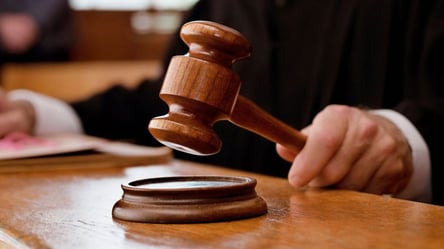 Во Львовской области суд вынес приговор матери малолетней злоумышленницы - 290x166