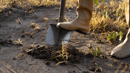 Весной это делать нельзя — типичные ошибки на огороде - 285x160