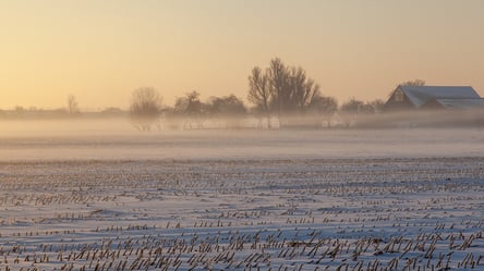 Аренда земли — как не потерять участок, если договор подписали без хозяина - 285x160