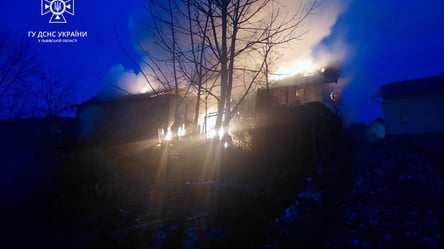 На Львовщине спасатели спасли из горящего здания 28 домашних животных - 285x160