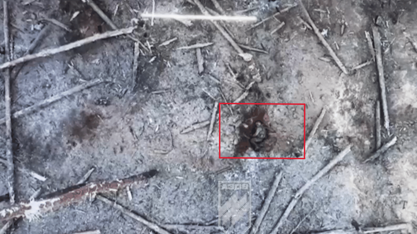 В "Азове" показали, как дронами уничтожают оккупантов в Серебрянском лесу