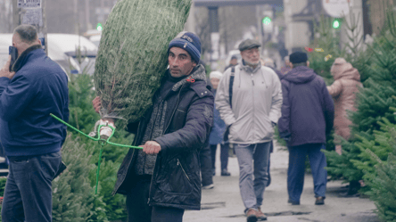 Искусственная или живая — какие елки популярные среди одесситов - 304x171