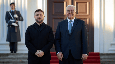 Встреча Зеленского и Штайнмайера — о чем говорили лидеры - 290x160