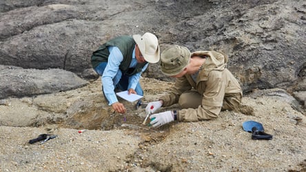 До появи першої голки: в Іспанії археологи знайшли стародавній інструмент для шиття одягу - 285x160