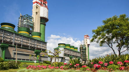 Большая приватизация: Одесский припортовый завод планируют выставить на торги - 285x160