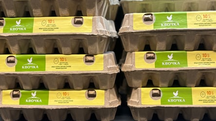 Со старыми ценами на яйца придется попрощаться — чего ожидать - 285x160